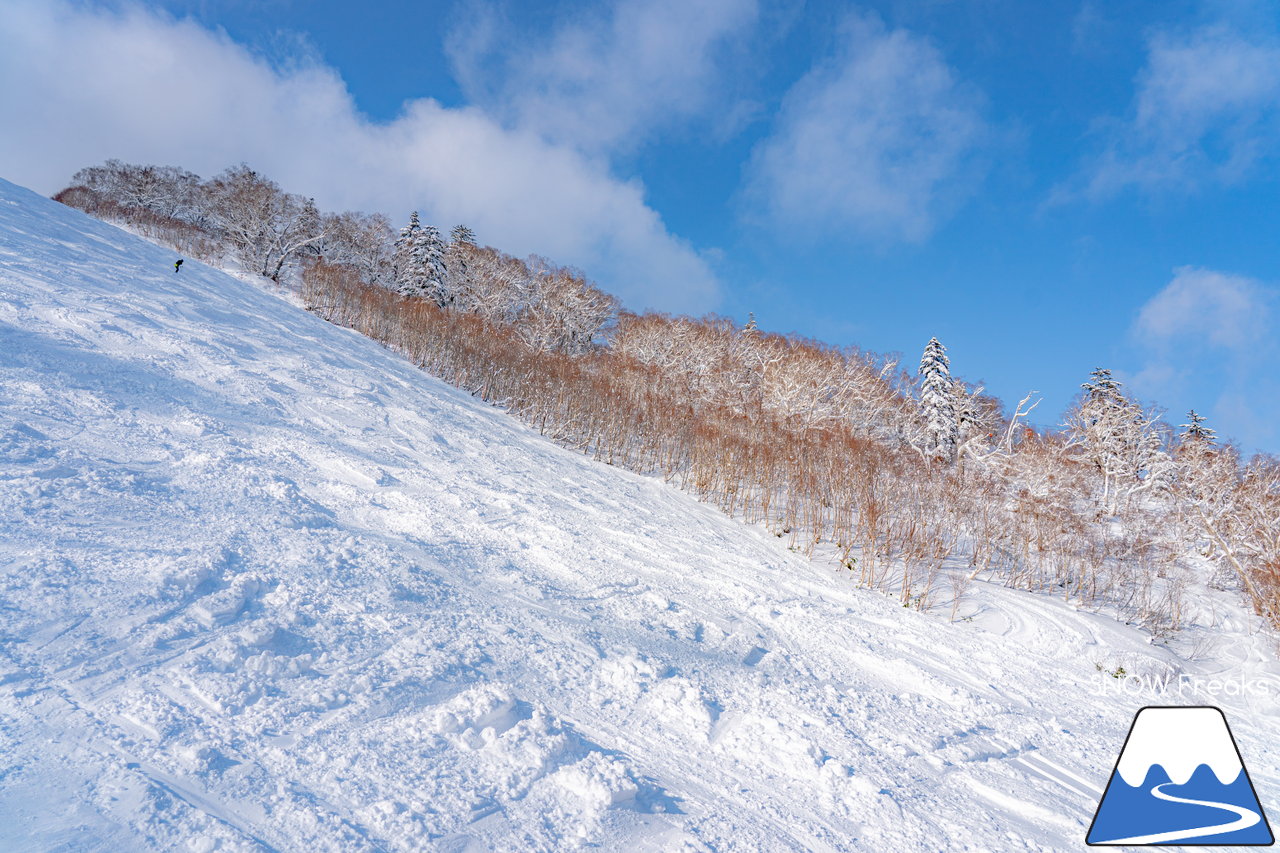 札幌国際スキー場｜積雪100cm超え！名物の急斜面『ダウンヒルコース』を含む、全てのコースが気持ち良～く滑走可能です(^^)/